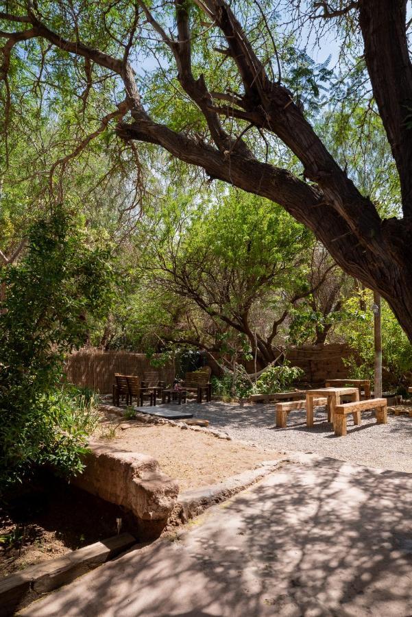 Gasthaus Vientos - La Yareta San Pedro de Atacama Exterior foto